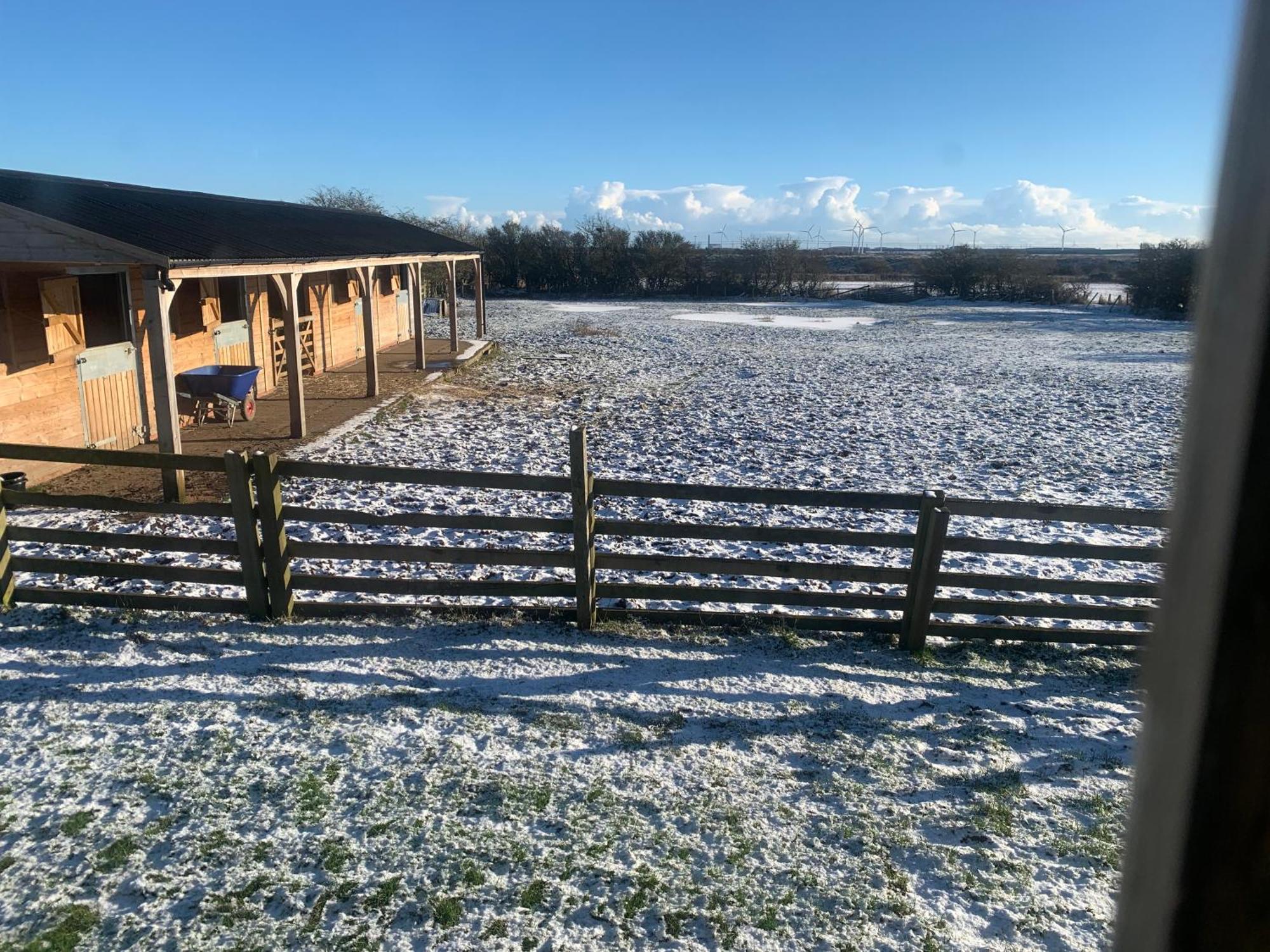 Owls Nest Log Cabin Morpeth Extérieur photo